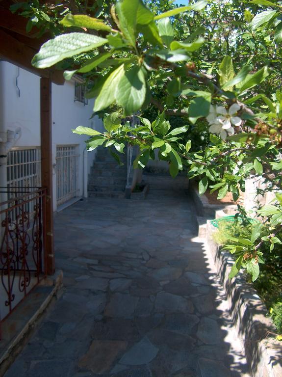 Athenian Spiti Villa Артемида Стая снимка